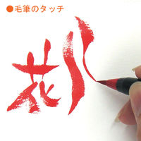 あかしや 筆ペン 水彩毛筆「彩」焦茶色 CA200-18 1本