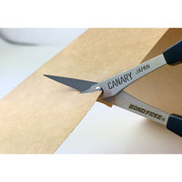 長谷川刃物 CANARY 極細デザイン用 ボンドフリー カーブ刃 4962069057301 1個