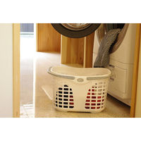 サンコープラスチック ブライトバスケット No.40 ランドリーホワイト 4973230449863 1個