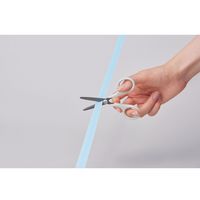 レイメイ藤井 Kept フッ素コートハサミ フィヨルドグリーン KP4FG 1セット(1本×5)