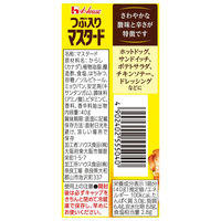 つぶ入りマスタード 40g 3個 ハウス食品