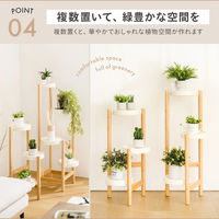 武田コーポレーション プランタースタンド LL LN-E-PSLL 1箱(1個入)（直送品）