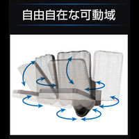 大進 センサーライト ソーラータイプ 屋外用 2灯式 1セット（1台×2）（直送品）