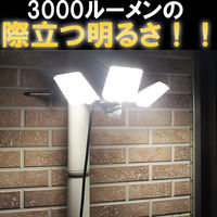 大進 人感 センサーライト AC100V コンセント 屋外 防雨 DLA-7T300 1セット（1台×2）（直送品）