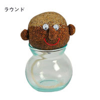 【園芸用品】DoLABO hair LABO 水耕栽培セット ラウンド 68999 1個