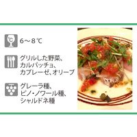 イタリア マルティーニ プロセッコ スパークリングワイン 白 辛口 750ml 1本 サッポロ