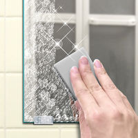 鏡・ガラス用汚れ落とし ハードタイプ 1個 アイオン