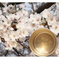 カンダ 18-8ステンレス二重構造 ファッションタンブラーさくら 4560433025163 1個（直送品）