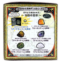 ノルコーポレーション 宝物発見シリーズ 伝説の宝物発見! 1セット TKZ-17-01 1個（直送品）