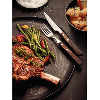 TRAMONTINA ロングナイフ ダーク 21109/094 1本（直送品）