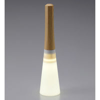 旭電機化成 LEDのインテリア常備灯 木目模様 APL-3207SMO 1個（直送品）