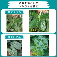 【園芸用品】住友化学園芸 MY PLANTS 葉をきれいにするミスト 220ml 1本