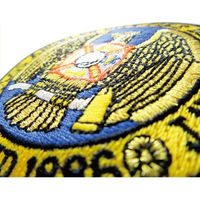 パイオニア ワッペン アイロン接着「ビッグアメリカン」 BW003-05029 1セット(3袋)（直送品）