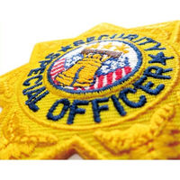 パイオニア ワッペン アイロン接着「ビッグアメリカン」 BW003-05067 1セット(3袋)（直送品）