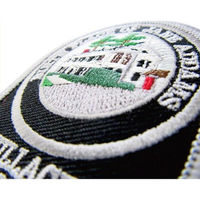 パイオニア ワッペン アイロン接着「ビッグアメリカン」 BW003-05072 1セット(3袋)（直送品）