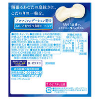 ハイチュウプレミアム ヨーグルト 32g 10個 森永製菓 ソフトキャンディ