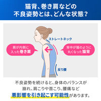 メディエイド スタイルケア 背中ストレッチ S・M 日本シグマックス　姿勢ケアベルト
