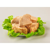 いなば食品 ライトツナアイチャンク かたまり肉タイプ 60g 1セット（1個×2）缶詰