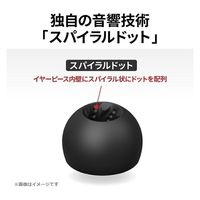 JVCケンウッド イヤーピース EP-FX12L EP-FX12M-B 1セット（直送品）