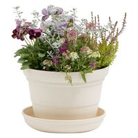 リッチェル ひよっこ ポット 6号 4945680703451 1個（直送品）