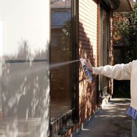 カメムシ凍殺ジェット 300ml 1個 フマキラー