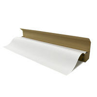 今村紙工 方眼入　カラー模造紙　プルタイプ　1箱（20枚入）　白 MZーWH