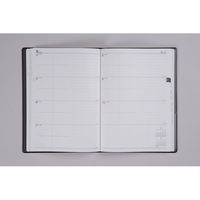 高橋書店 【2025年4月版】デスクダイアリー A5 見開き1週間 月曜始まり 黒 911 1冊（直送品）