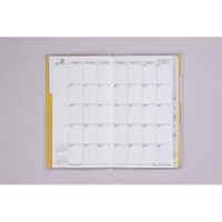 高橋書店 【2025年4月版】リベルインデックス5 手帳判 月間 日曜始まり ドルチェ・レモン 665 1冊（直送品）