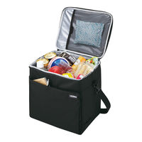 サーモス ソフトクーラー 20L オールブラック RFDー0201 ALB 1個