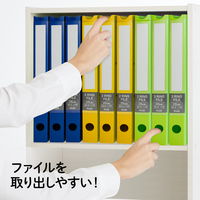 プラス 2リングファイル ワイド表紙 グリーン 84833 1冊