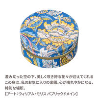 数量限定 STEAMCREAM（スチームクリーム） セレストガーデン 75g ソノタス ギフト