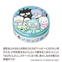 数量限定 STEAMCREAM（スチームクリーム） はぴだんぶい 75g サンリオ ソノタス ギフト