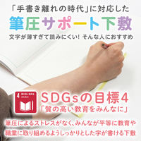 共栄プラスチック 軟質 下敷き 透明カラーのしっかりシタ字キ A4 パイン TCS-A4-PI 1セット(1枚×5)（直送品）