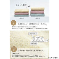 日繊商工 cocochiena2 フェイスタオル 約34×80cm Dグリーン 1枚入 CE7021 1枚（直送品）