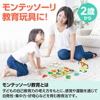 アーテック 算数教育5点セット 21639 1セット