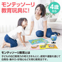 アーテック 文化教育5点セット 21659 1セット