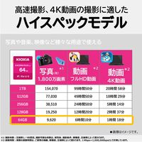KIOXIA(キオクシア) 64GB SDXC UHS-I SDカード KSDH-B064G 1個