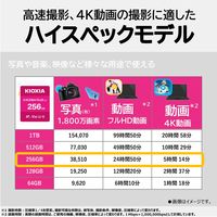 KIOXIA(キオクシア) 256GB SDXC UHS-I SDカード KSDH-B256G 1個