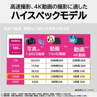 KIOXIA(キオクシア) 128GB SDXC UHS-I SDカード KSDH-B128G 1個