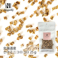 Nagaiki さけミニコロコロ 無添加 国産 25g 1袋 オーシーファーム 犬用 おやつ