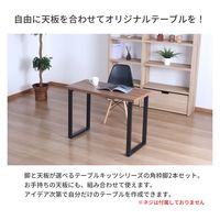 エイ・アイ・エス 金属角枠脚 幅430×奥行50×高さ695mm ブラック TBK-D43BK 1セット(2本入)（直送品）