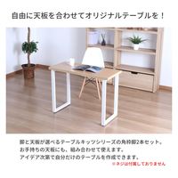 エイ・アイ・エス 金属角枠脚 幅430×奥行50×高さ695mm ホワイト TBK-D43WH 1セット(2本入)（直送品）