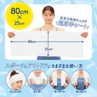 エスカラット　極寒ロングタオル　5枚入り コーセーコスメポート