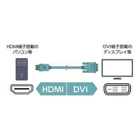 ナカバヤシ HDMI-DVI 変換ケーブル 1m VDH-10/BK 1本（わけあり品）