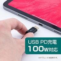 ナカバヤシ TypeーC　PD対応　イヤホン変換ケーブル　ブラック SADーCE05PBK 1個