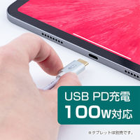 ナカバヤシ TypeーC　PD対応　イヤホン変換ケーブル　ホワイト SADーCE05PW 1個