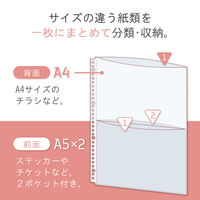 リヒトラブ リヒト Collel クリヤーポケット<A4+A5> ファイル 交換ポケット パンフレット収納 A4 N473 1組（直送品）