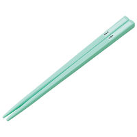 スケーター ABS2AMAG 抗菌食洗機対応スライド箸&箸箱セット 【カラフルピーチ 25】 694493-ABS2AMAG 1個（直送品）