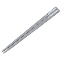 スケーター ABS2AMAG 抗菌食洗機対応スライド箸&箸箱セット 【ポケットモンスター 25】 696244-ABS2AMAG 1個（直送品）