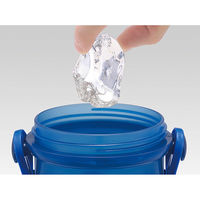 PSB5SANAG 抗菌 食洗機対応 直飲みプラワンタッチボトル 【インサイド・ヘッド 2】 701573-PSB5SANAG 1個（直送品）